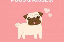 Peppy Paws- A Premier Resort in Pune for Dogs and Cats - LUXE LUSTRE