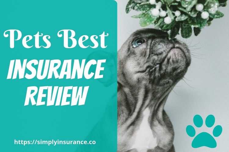Pets Best Insurance Review 2018 (Your Pets
