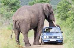 Photo Feature : You will now think twice before buying a Nano car