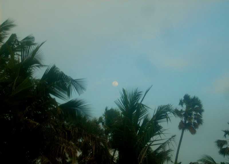 Photos: Mumbai Sea, Sealink And The Sunset-2!!