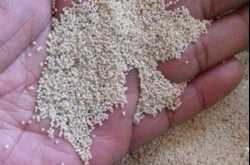 Poppy Seeds Have Several Healing, Curative Properties  