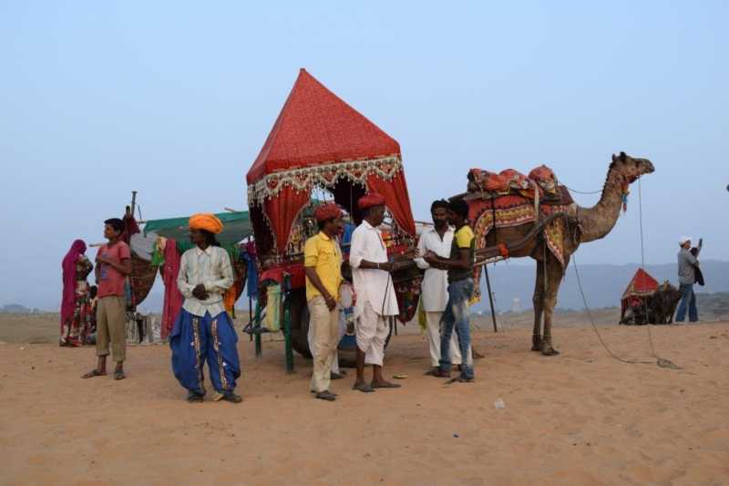 Prayers Amid Camels & Roses