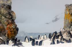 Preparing for Antarctica - What to Wear