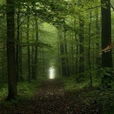 Pretty Girl – The Conclusion