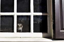 Pro-Photographer: 3 Ways to become Serious Entrepreneur > Photography Williamsburg, VA