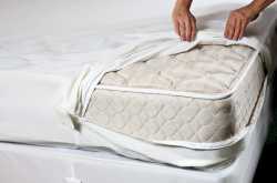 Protect Yourself Against Bed Bugs