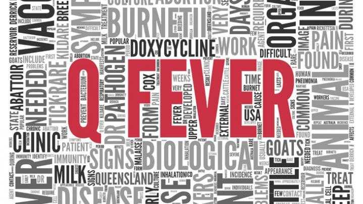 Q Fever #A2ZChallenge - NatkhatZ