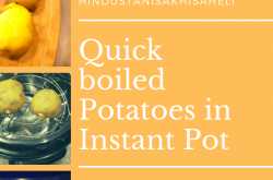 Quick boiled Potatoes in Instant Pot
