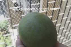 Raw Mango with Masoor Daal