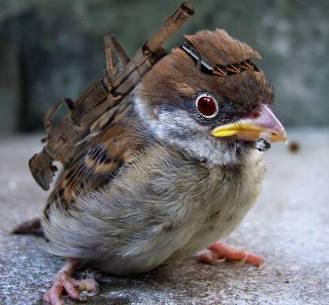 Ready For The WORLD WAR III .........