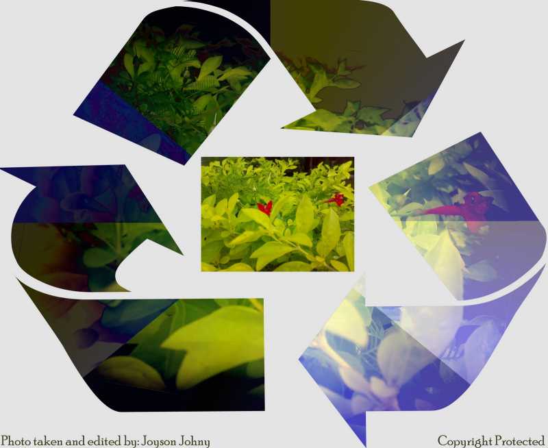 Recylcing Our Lives....