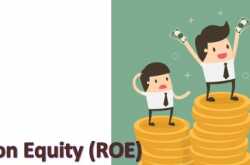 Return on Equity (ROE) I Finance I Ratios I Value Investing I Wealth Vidya I