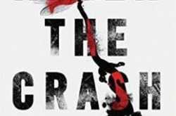 Review: After the Crash by Michael Bussi