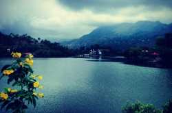 Romancing the rains - The Travel Shrink