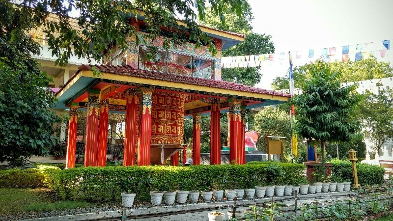 Root Institute Of Wisdom And Culture, Bodhgaya - Shoe Bytes