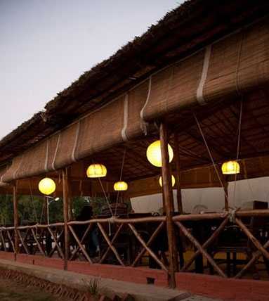 Roots, A Solar Café In Gurgaon