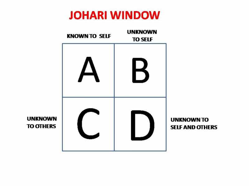 SELF DEVELOPMENT THROUGH JOHARI WINDOW