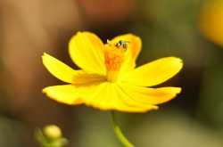 SIA - SIA Photography - Photography Workshops and Photo Tours