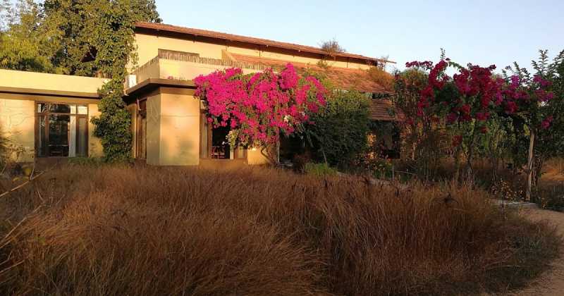 Safari At Satpura Tiger Reserve - Forsyth