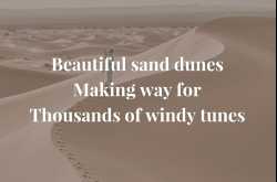 Sahara | This & That