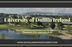 Scholarships in Ireland | University of dublin trinity college | ucd courses