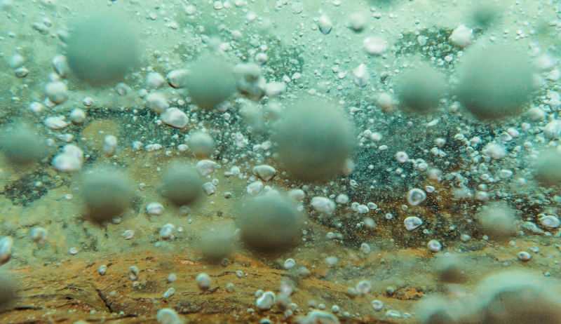 Scientists Discover A Boiling River - Amazonian Legend