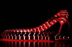 Scientists Put A Worm\