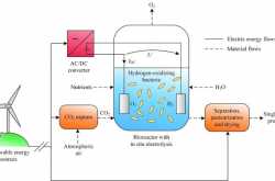 Scientists create proteinaceous food from electricity which could be the answer to the world hunger