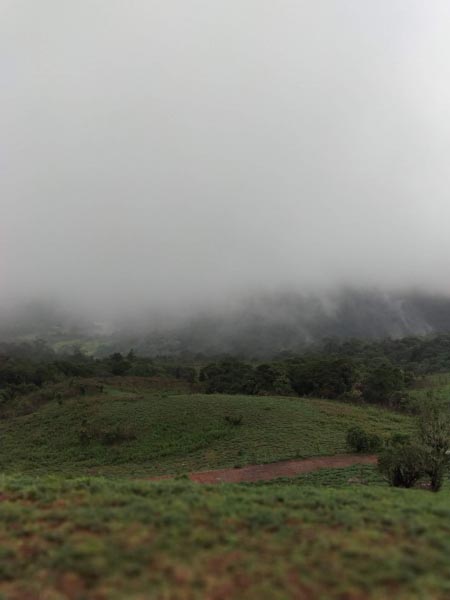 Scotland Of India – Captivating Coorg