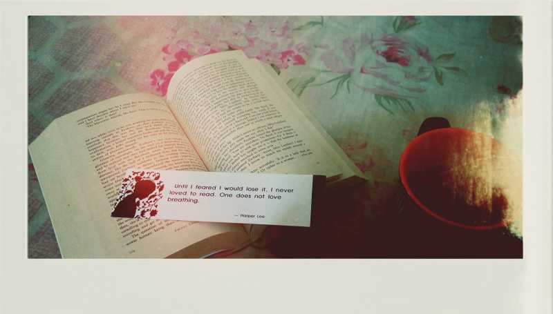 Sea Of Poppies - Review