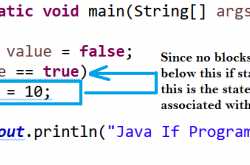 Simple Java If Statement Program Result Everyone Fails to Answer