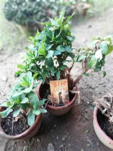 Sin Is The New Love - Book Review