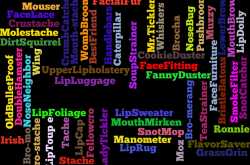 Slang Words for Beard In 2019 - Beard Growth tips