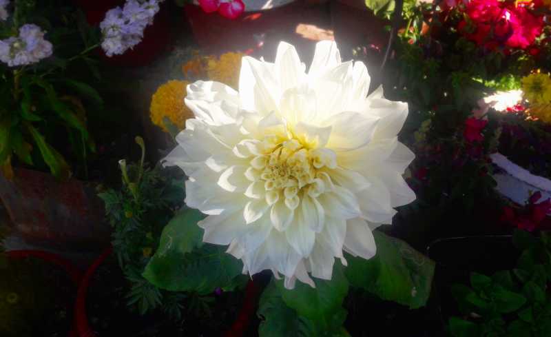 Small Things One Can Do To Have A Good Life