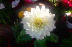 Small things one can do to have a good life