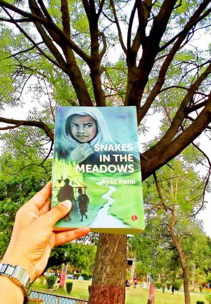 Snakes In The Meadows - Book Review