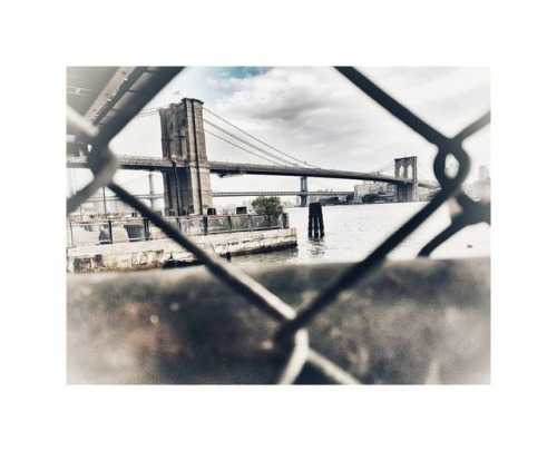 Snapshots From My Book O