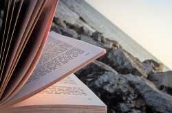 South India Flavor and Automotive Jazz