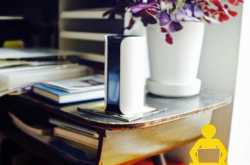 Spotlight on the Canary Home Security Device