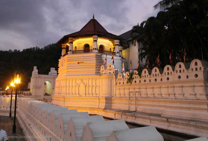 Sri Lanka Diaries - Part 3 - My Travelogue!