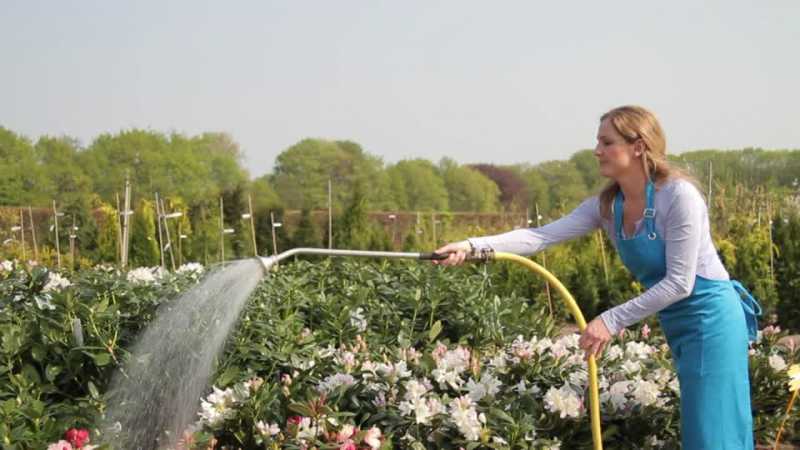 Strategies For Great Organic-gardening - Tips Clear Beauty Business Health Tech Travel And General