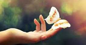 Surrounded To Be Free