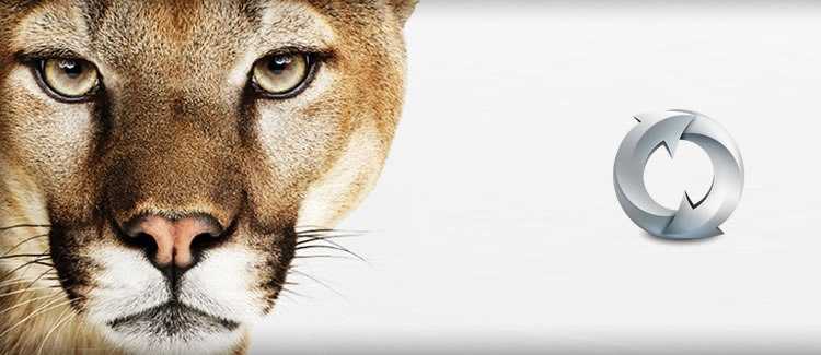 Syncing Google Contacts In Mac OS X