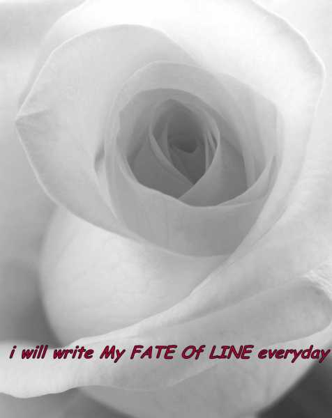 THE BEST OF TIMES IS NOW