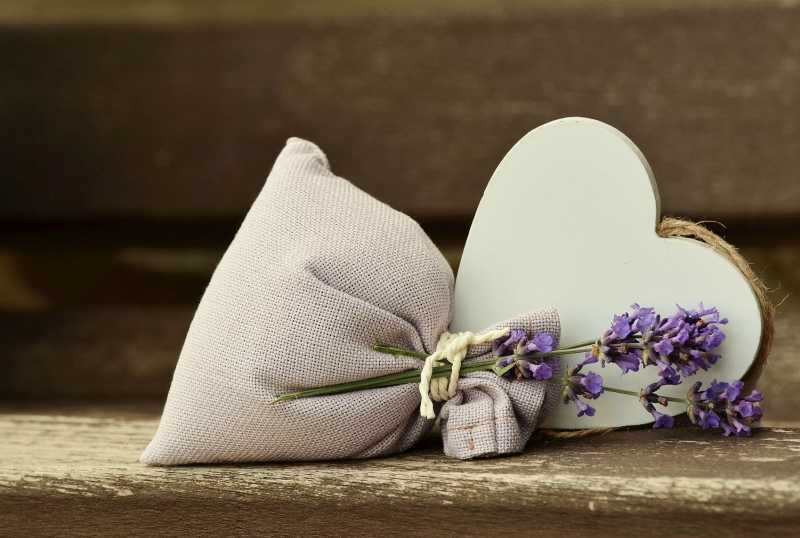 Take A Peek Into Our Vibrant Idea, 