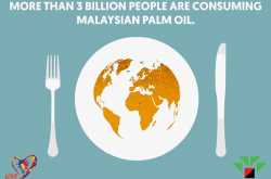 Talking about a major ingredient in our lives - Malaysian Palm Oil