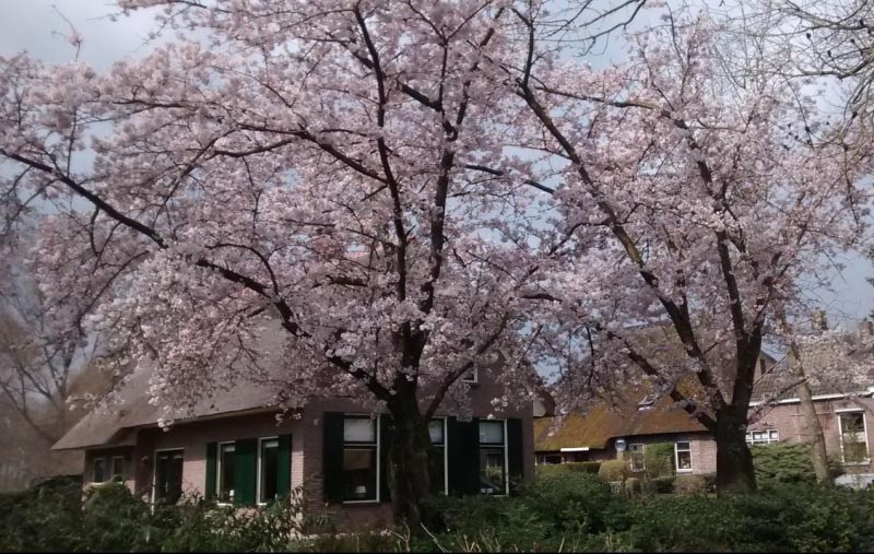 Teaching Aman To Blog