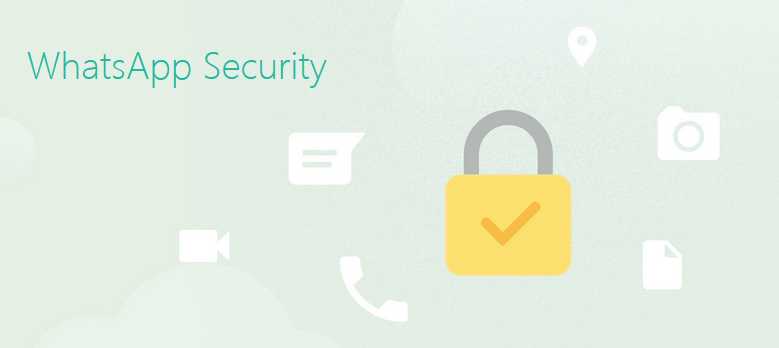 TeenagersNest: Facts On WhatsApp Security