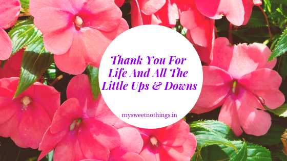 Thank You For Life And All The Little Ups And Downs