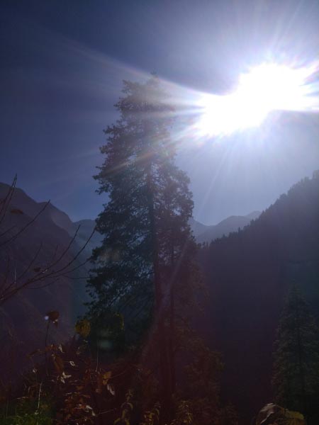 That Feeling - Mom Knows